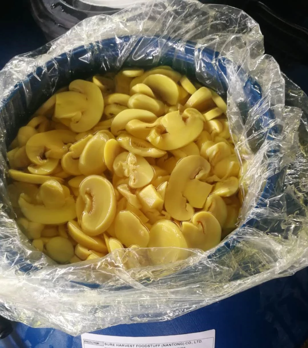 Cogumelo in SO2 in conserve Preserved mushroom in Drum