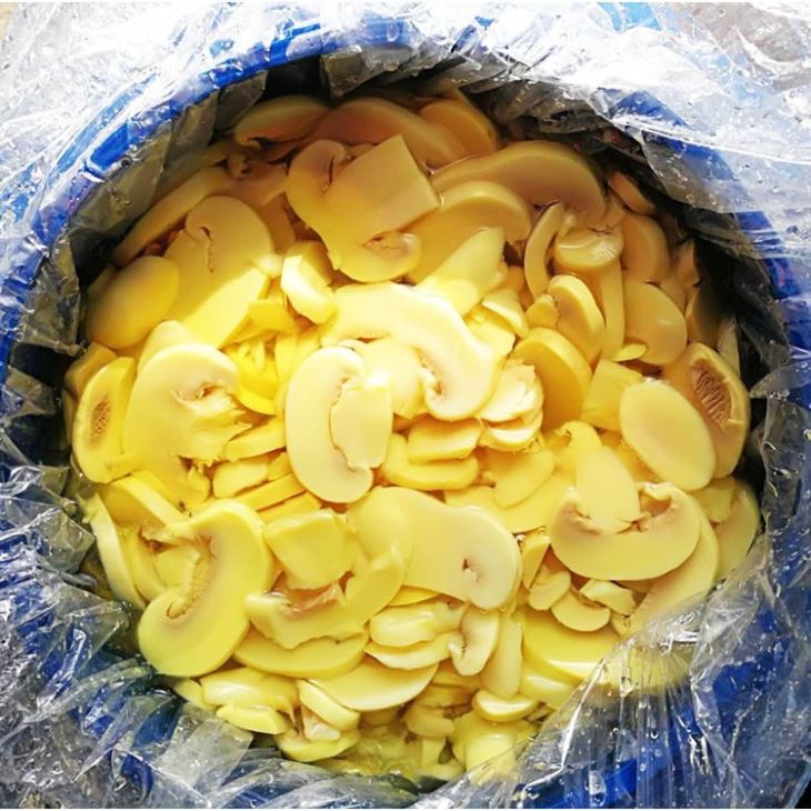 Mushrooms Cogumelos in SO2 (4)