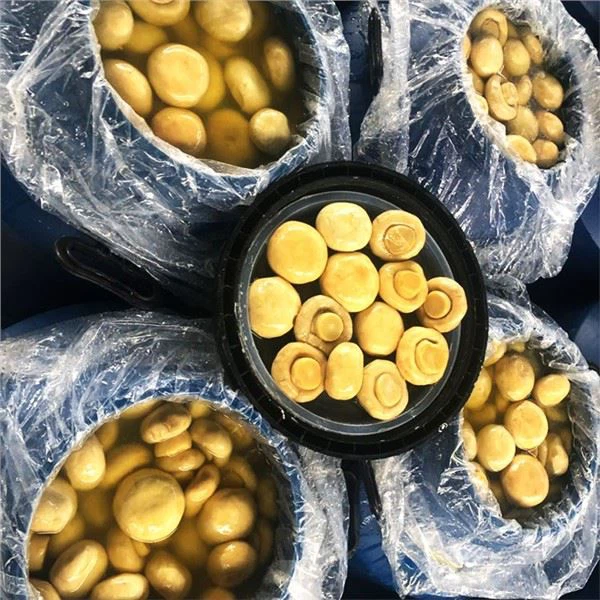 Bagaimana cara menyimpan jamur yang sudah dibuka dalam air garam?