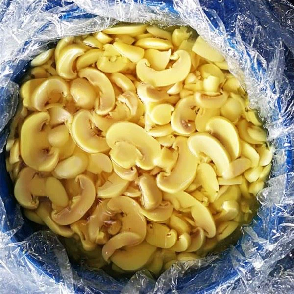 Jamur di SO2 di Drum