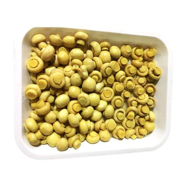 Apakah jamur dalam air garam cocok untuk diet rendah karbohidrat?
