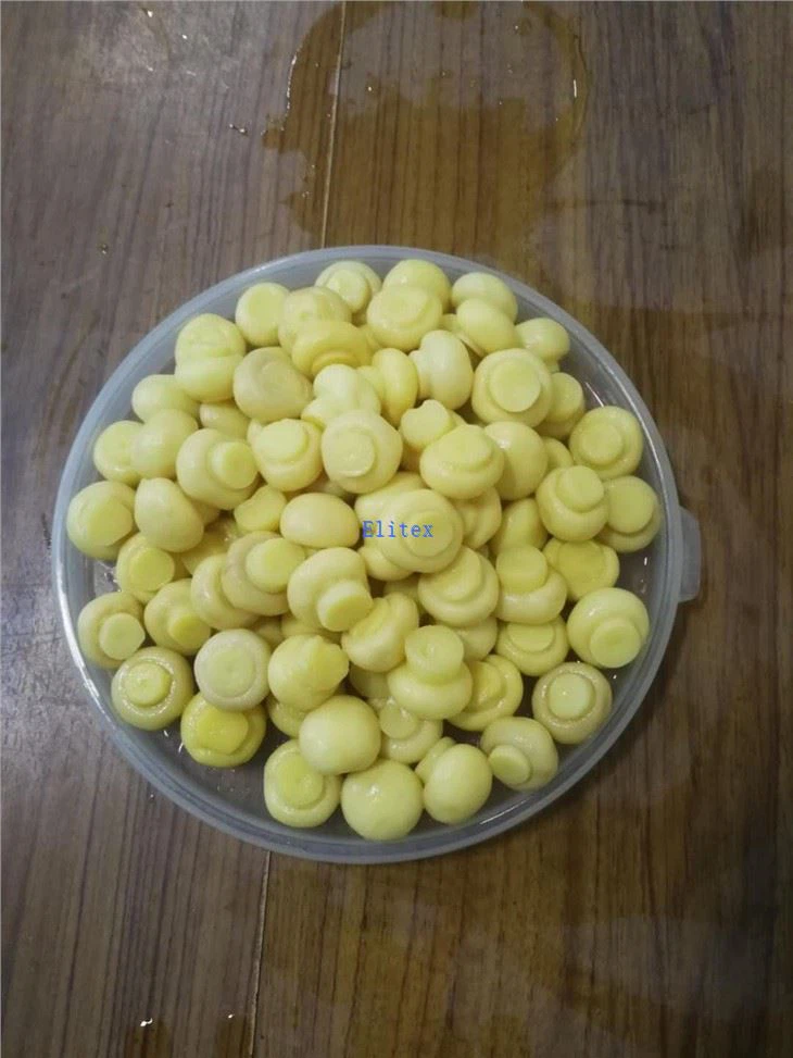 Fresh Agaricus In Brine In Whole