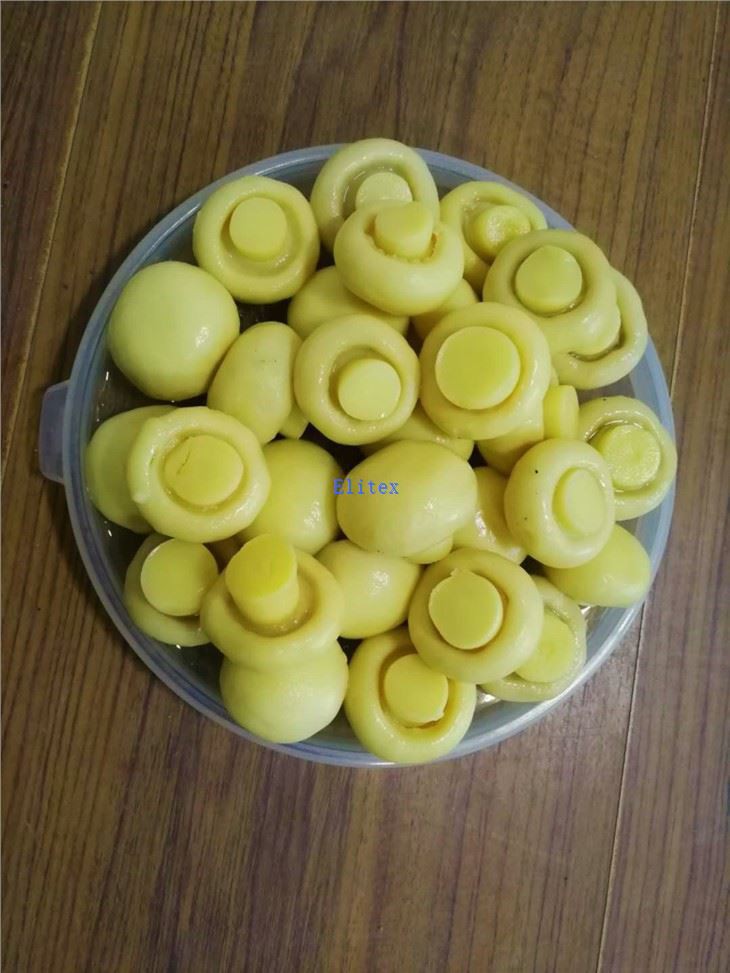 Salted Medicine Mushroom In Drum
